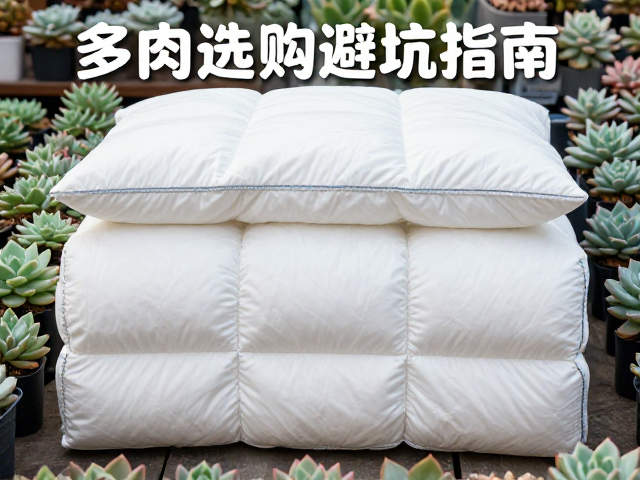 多肉选购避坑指南，寒潮加保温棉，依环境选品种更省心