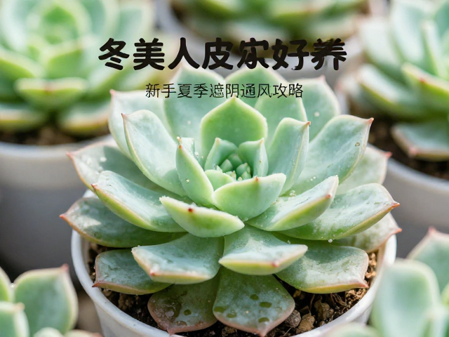 常见问题识别与应对处理