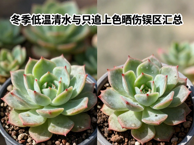 盲目暴晒与冻伤晒伤的双重风险