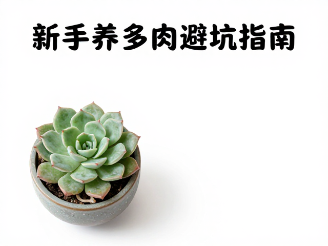收到别马上换大盆!