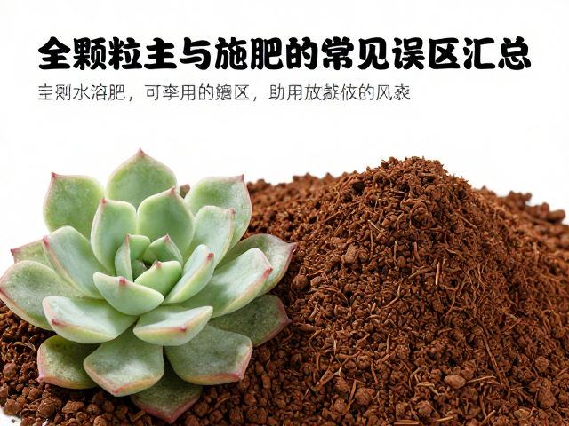 水溶肥的浓度控制与施用时机