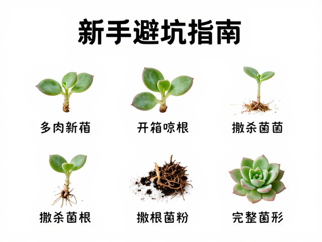 修根操作细节