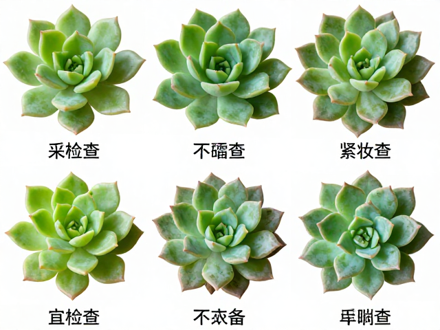 叶片状态评估与隐性病害排查