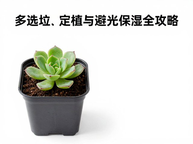 避光与保湿管理