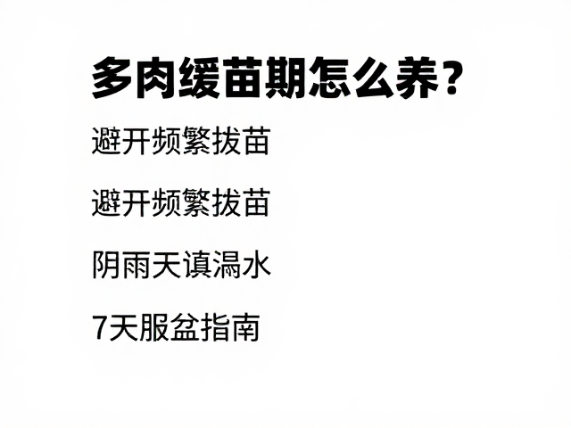 7天服盆指南与光照管理