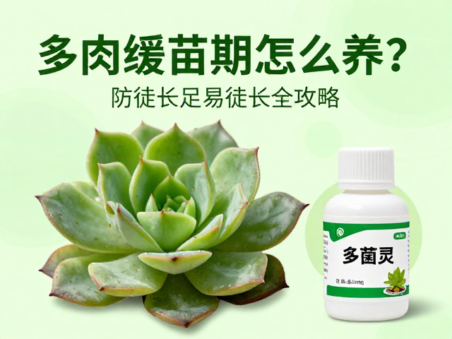 多菌灵的使用规范与病害预防