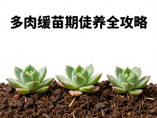 水分管理与土壤透气性