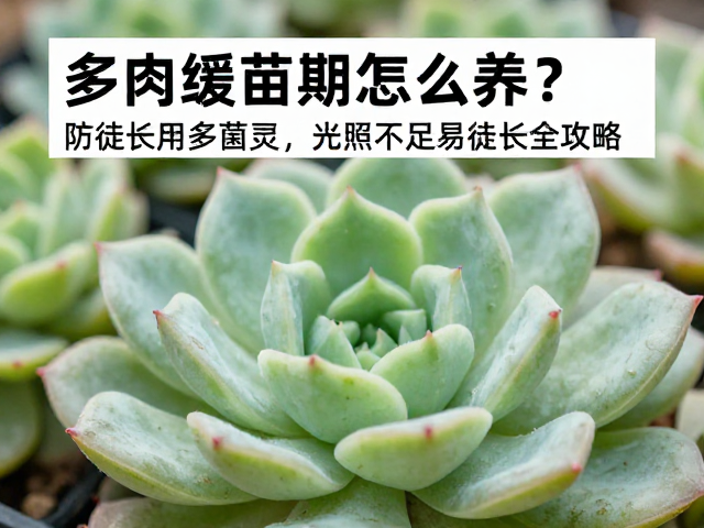 温度控制与环境通风