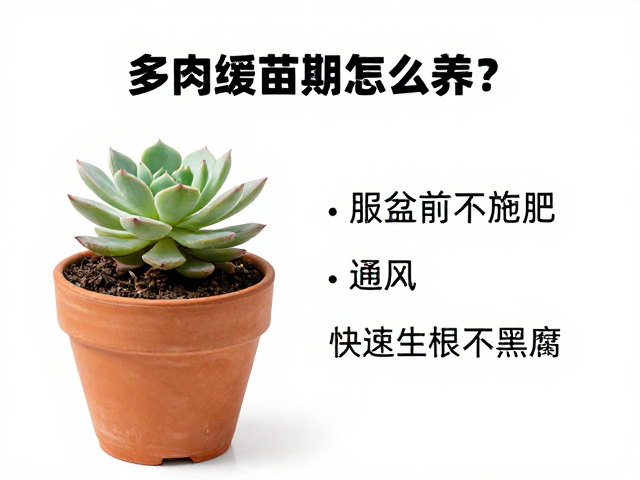 观察指标与服盆判定