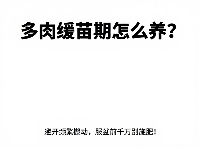 多肉缓苗期怎么养？避开频繁搬动，服盆前千万别施肥！