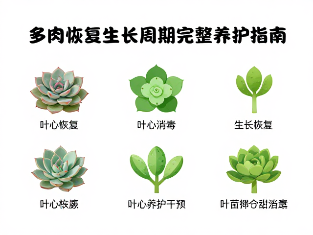 恢复期的日常监测与异常干预机制