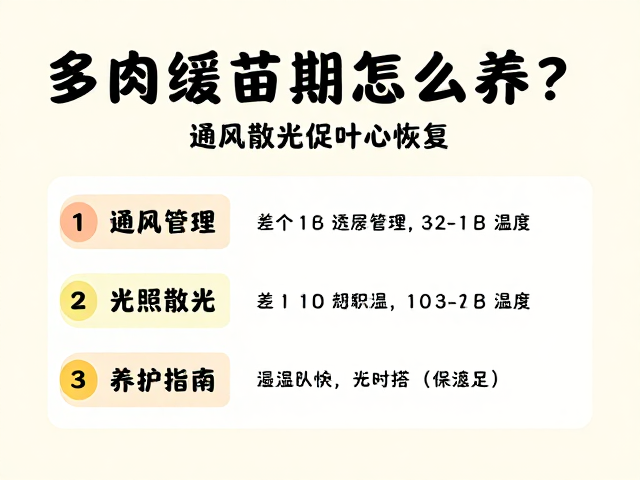 光照管理与温度控制