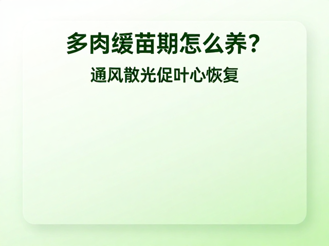 通风条件与湿度管理