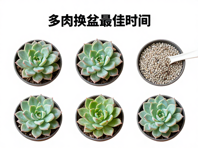 铺面石的功能定位与材质筛选