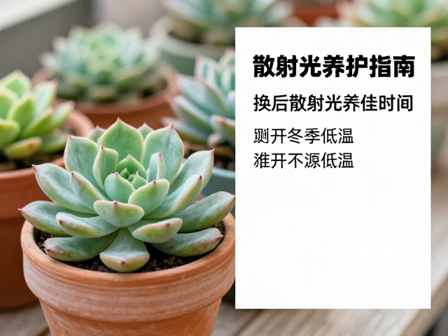 换后散射光养护与环境过渡