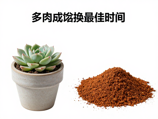 高颗粒土配方与赤玉土的核心优势