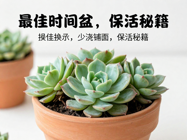 环境与光照的过渡管理