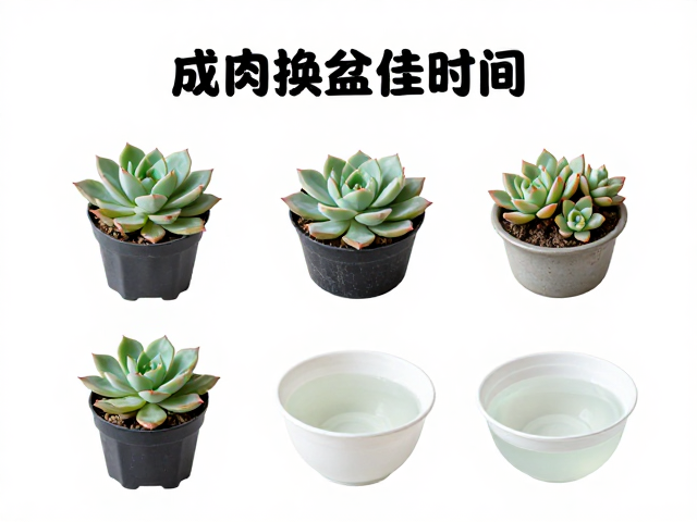 防化水技巧