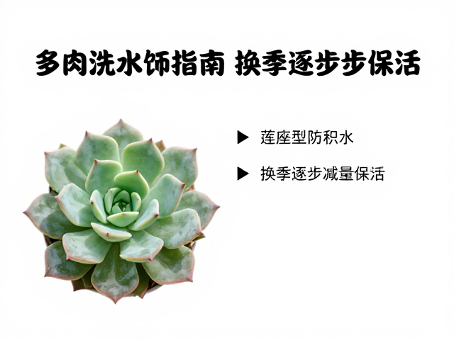 换季期的浇水减量策略