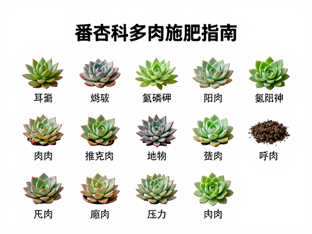 常见品类分类施肥要点