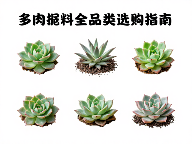 多肉肥料全品类选购指南，控释膜，少量多次施用技巧