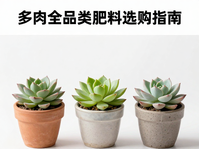 不同生长阶段的施肥策略