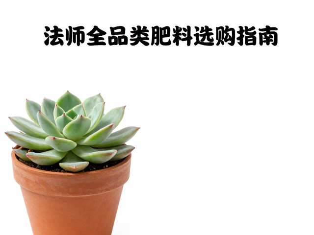 法师换盆后多久施肥？多肉全品类肥料选购指南