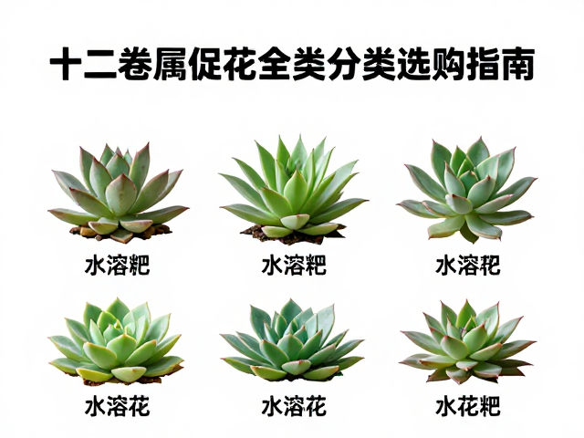 水溶肥在促花期的精准应用