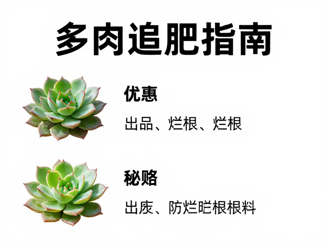 防烂根与肥害的应对策略