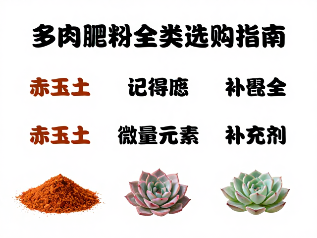 微量元素对多肉形态与色泽的影响机制