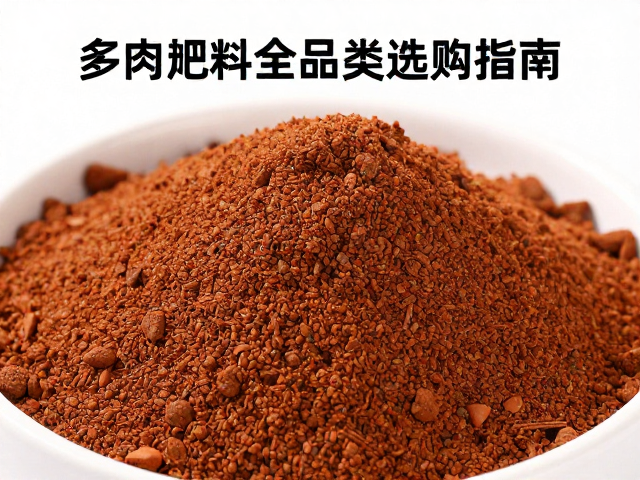 赤玉土在基质中的核心作用与筛选标准