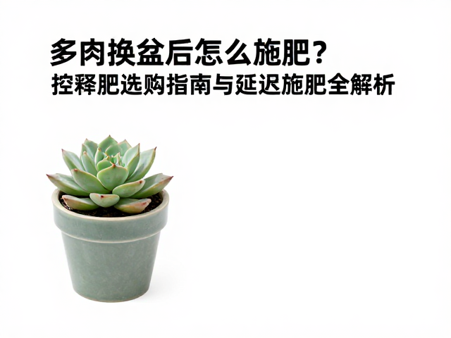 延迟施肥的操作时机与具体执行方案