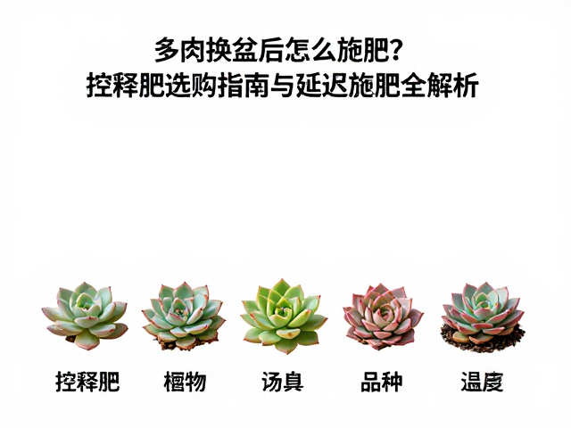 不同季节与品种的特性化施肥策略