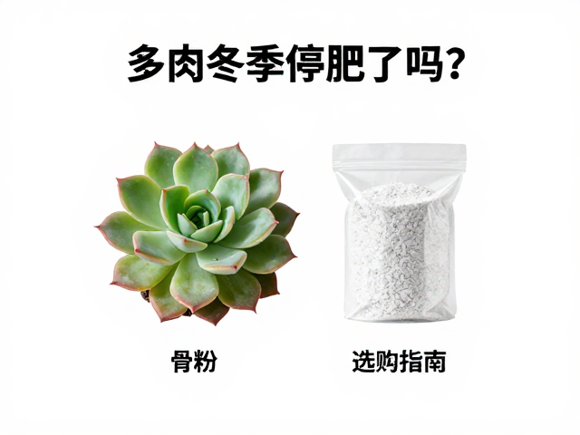 冬季养护的替代方案与环境调控