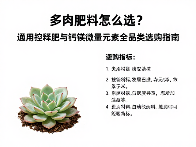 选购指南中的关键指标与避坑要点