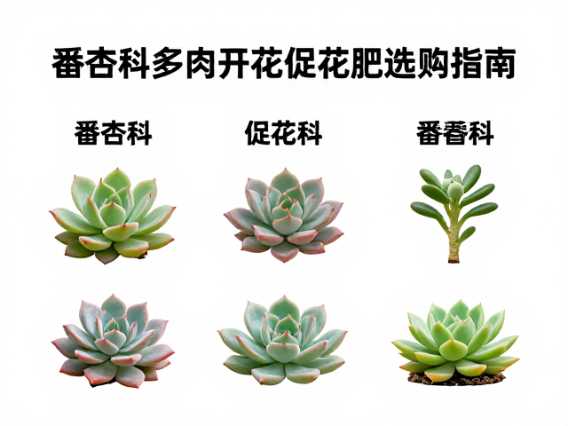 不同番杏科品种的施肥策略调整