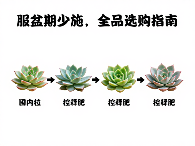 多肉肥料怎么选？服盆期少施，控释肥全品类选购指南