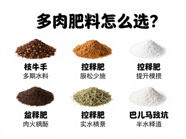 常见肥料类型特性与适用场景解析