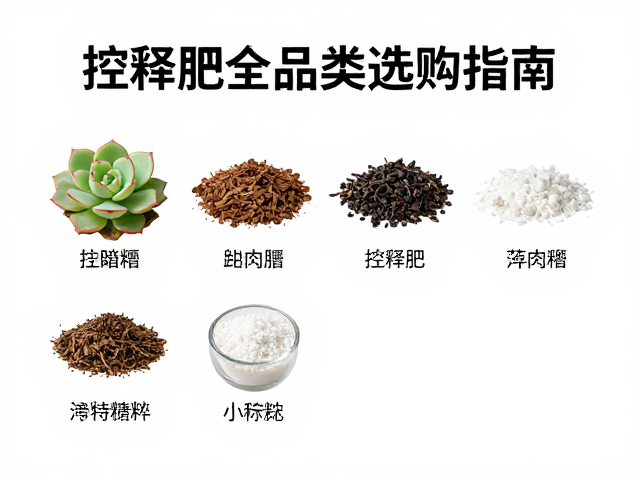 关键成分识别与选购参数指南