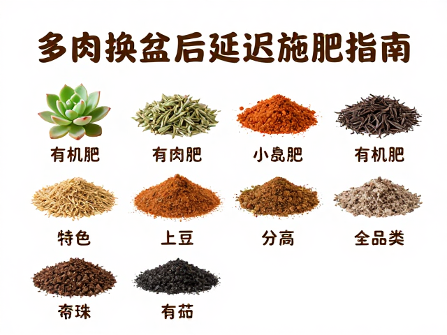 有机肥的核心分类与理化特性解析