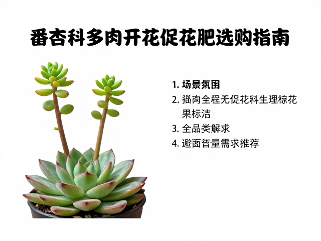 番杏科多肉开花促花肥选购指南，全品类肥料避坑与推荐