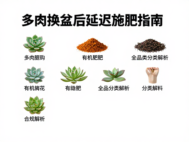 高养分类多肉的施肥策略与操作规范