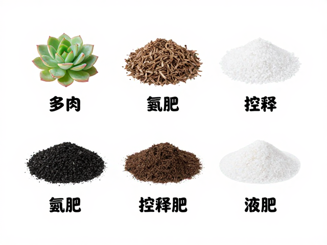 常见肥料类型解析与适用场景