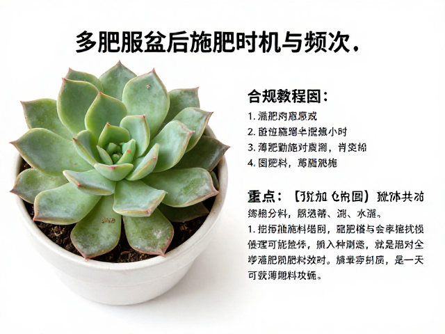 薄肥勤施的核心逻辑与肥料选择原则