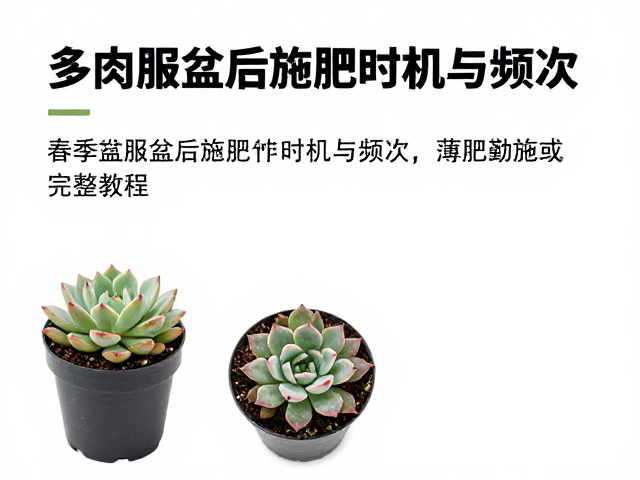 春季与秋季的生长季施肥实操方案