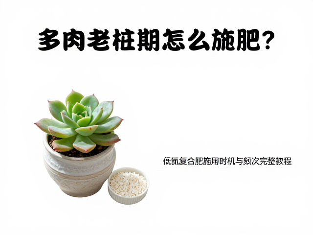 浓度控制与具体操作手法
