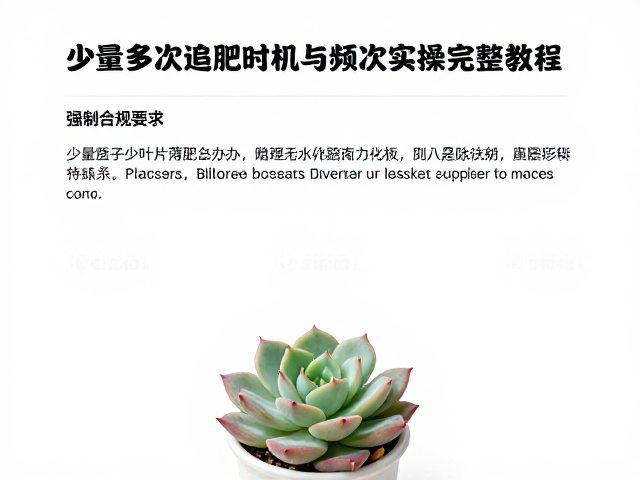 少量多次追肥的底层逻辑与肥料选择