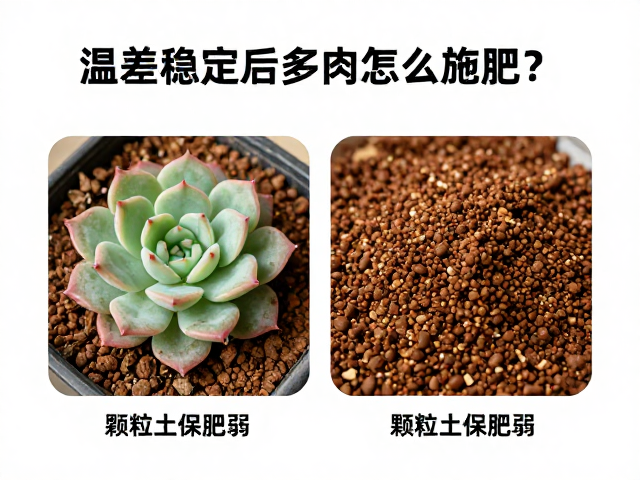 缓释肥的基质混配与长效供养方案