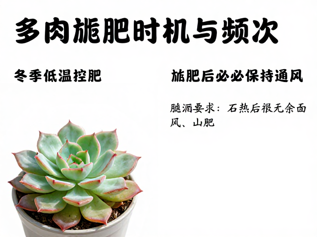 科学施肥的操作细节与长期维护