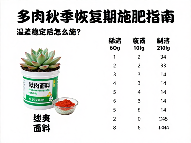 常用肥料选择与稀释比例实操